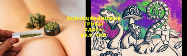 синтетический гашиш Богданович