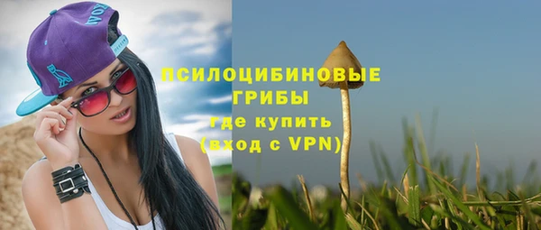дмт Богородицк
