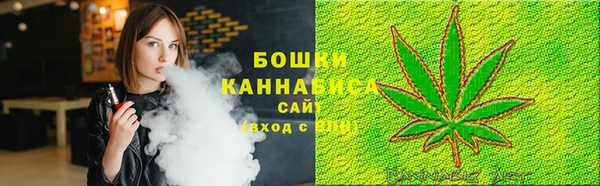 дмт Богородицк