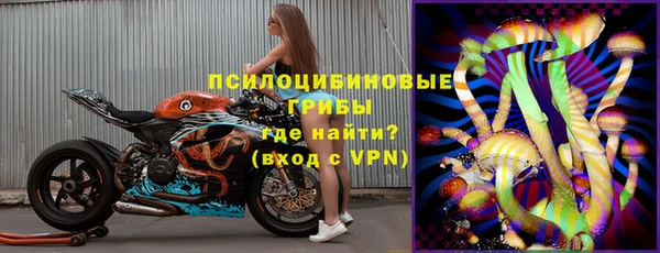 дмт Богородицк